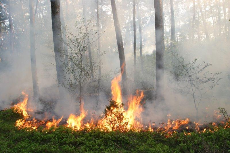 Zagrożenie pożarowe w lasach - komunikat