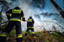 Bezpieczeństwo przeciwpożarowe lasów